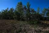  Pablo Island Road - Photo 14