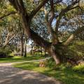 11102 Shady Oak Street - Photo 3