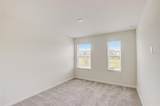 1688 Tropical Palms Circle - Photo 28