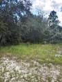 1263 Baltic Drive - Photo 2
