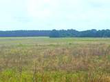 0 Sr-33/Pine Island Rd. - Photo 3