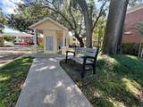 13824 Orange Sunset Drive - Photo 12