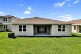 1115 Olivine Avenue - Photo 17