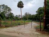 6655 Old Tampa Highway - Photo 1