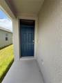 7117 Cattle Egret Dr - Photo 4