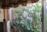 386 San Jose Drive - Photo 35