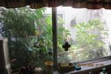 386 San Jose Drive - Photo 36