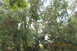 386 San Jose Drive - Photo 7