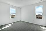 5228 Bee Balm Street - Photo 12