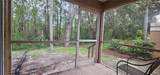 8821 Coral Palms Court - Photo 23