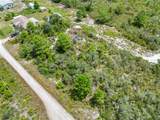 1524 Barn Owl Street - Photo 12