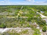 1524 Barn Owl Street - Photo 14