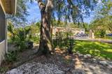 11807 Mintwood Court - Photo 44