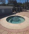 273 Coco Plum Drive - Photo 9
