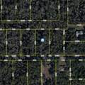 11939 Wildflower Street - Photo 2