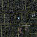 11939 Wildflower Street - Photo 3