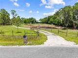 4295 Rambler Ave - Photo 99