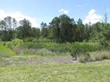 1275 Butterfly Orchid Road - Photo 35