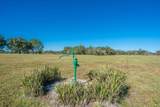 31935 County Road 52 - Photo 16