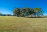 31935 County Road 52 - Photo 24
