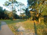 34450 Whispering Oaks Boulevard - Photo 39