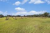 331 Lewis Road - Photo 51