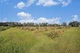 331 Lewis Road - Photo 54