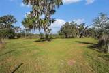 331 Lewis Road - Photo 59