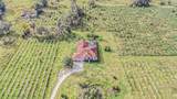 331 Lewis Road - Photo 65
