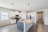 11609 Cleyera Court - Photo 9