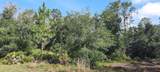  Pandora Drive - Photo 1