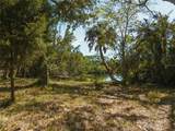 18905 Aripeka Road - Photo 2