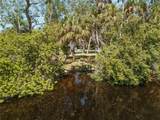 18905 Aripeka Road - Photo 3