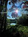 18905 Aripeka Road - Photo 9