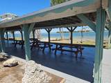 4851 Gandy Boulevard - Photo 29