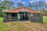 655 Appaloosa Road - Photo 4