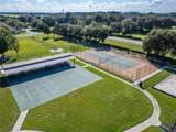 31415 Bridgegate Drive - Photo 67