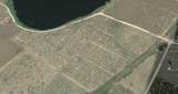 0 Lake Ida Road - Photo 3