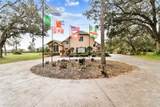 12709 Mannhurst Oak Lane - Photo 4