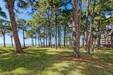 2700 Bayshore Boulevard - Photo 47