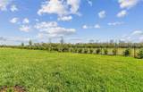 10320 Cross River Trail - Photo 25