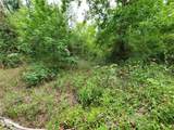  Ringwalt Drive - Photo 17