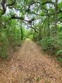  Ringwalt Drive - Photo 20