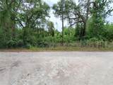  Ringwalt Drive - Photo 9