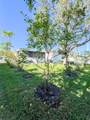 289 Monte Cristo Boulevard - Photo 50