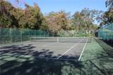 2912 Star Apple Court - Photo 74