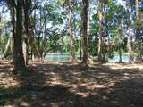  Bluestone Lane - Photo 31