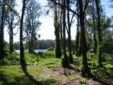  Bluestone Lane - Photo 35