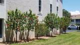 255 Capri Circle - Photo 55