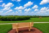 12760 Indian Rocks Road - Photo 44